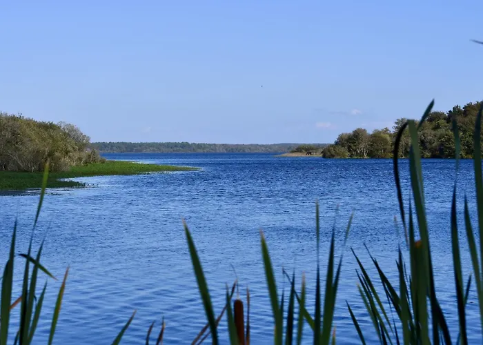 Sicard-3 By Interhome Mimizan-Plage